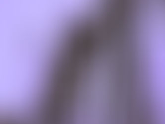 CAPRICORN HOROSCOPE for AUGUST 2025