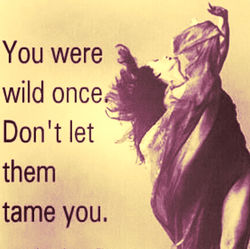 you were wild once purple 