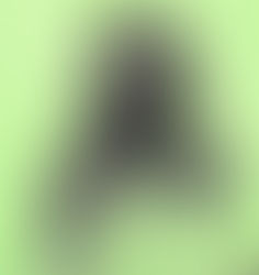 TAURUS HOROSCOPE for DECEMBER 2025