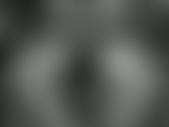 SEPTEMBER FEVER is FIERCE