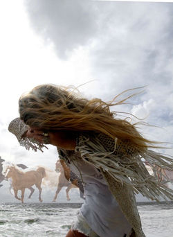  Dietmare Busse's Running Horse series.