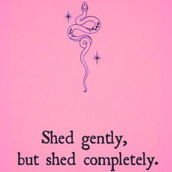shed gently border musk