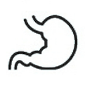 stomach.png