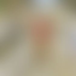 Przyszłość automatyki przemysłowej – trendy i innowacje. Jak Tincors wspiera nowoczesny przemysł