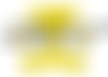 ソフト闇金口コミランキングでも常に上位のプラウディアです