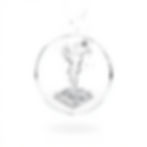 Transparent n white background.jpg