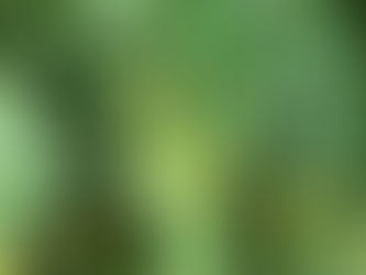 2025 Fall Share: Week 9