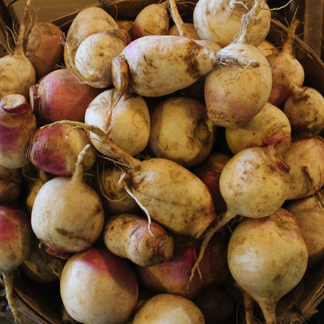 Deep Winter Share 2022: Week 2      