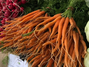 Fall Farm Share 2024: Week 1