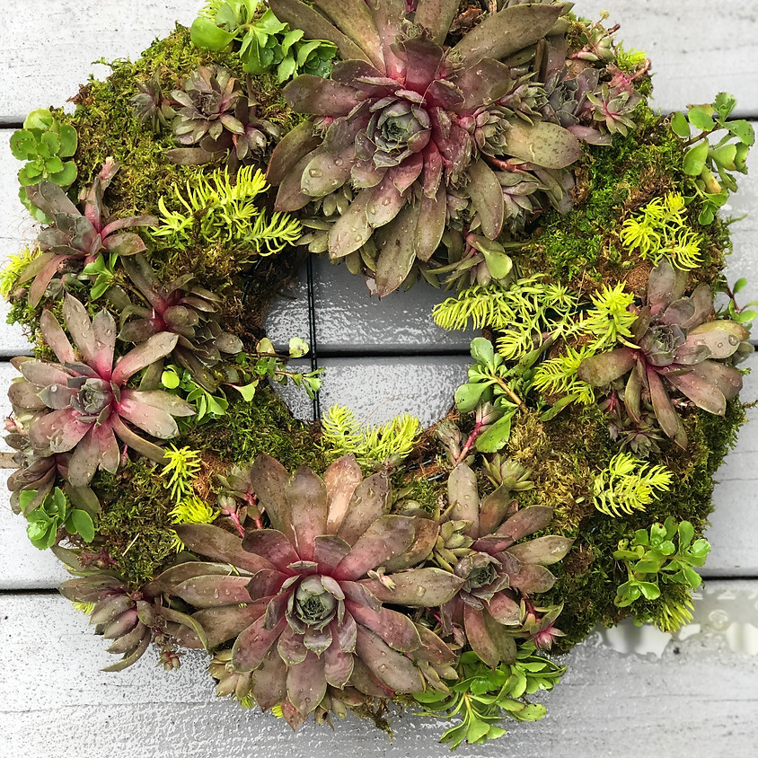 Wine and Design - Succulent Wreath