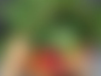 Fall Share 2022: Weeks 12 & 13