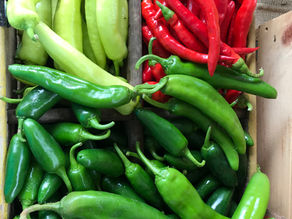Summer Farm Share 2024: Week 11