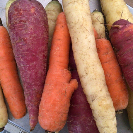 Winter Share 2023: Week 2 