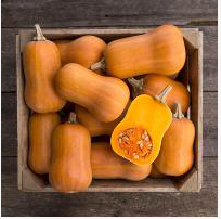 Fall Farm Share 2024: Week 7