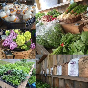 farmstand_montage.jpeg