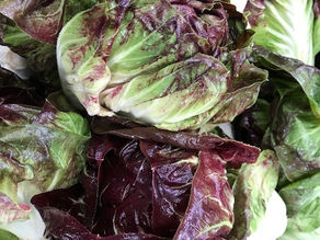 Fall Farm Share 2024: Week 2