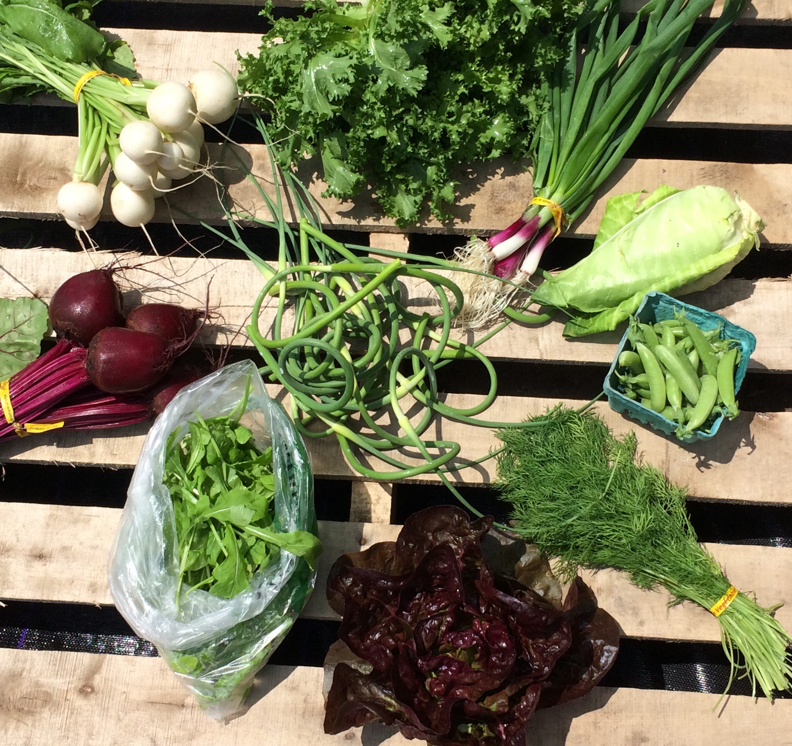 Arranged Food and Objects