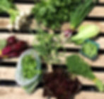 Miscellaneous Produce