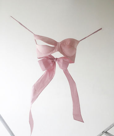 Michaela Stark Pink Bra