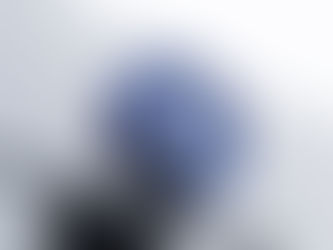 新村便當LOGO設計
