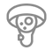 117875496_599839984064608_19178601936077