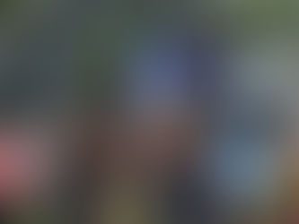 54º Mutirão Regional Pioneiro – AlohoMut