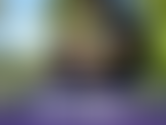 21 a 28 de agosto - Semana Nacional da Pessoa com Deficiência