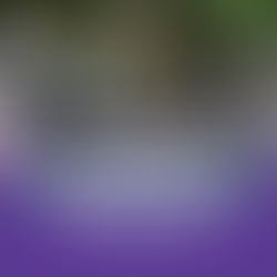 Webinar: Assessor Pessoal de Formação na Prática