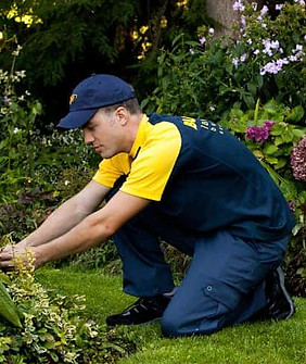 landscaping-services-1.jpg