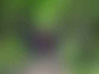 Wandelen ? - 17 augustus 2020