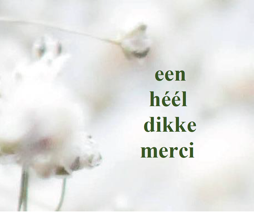 vrijwilligers.png