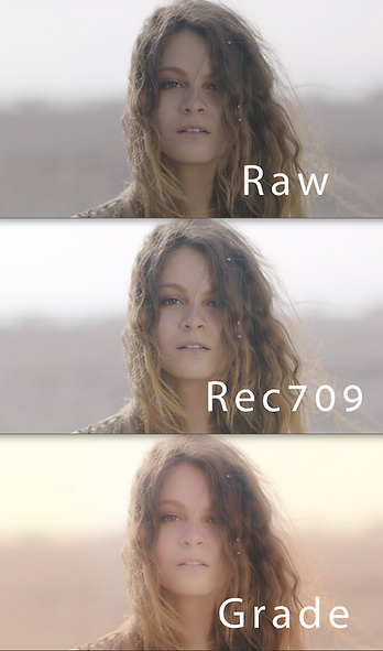 Beauty . Raw : Rec709 : Grade.png