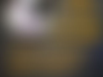 POSTPONED: YANA 2020