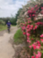 No Time to Stop and Smell the Roses