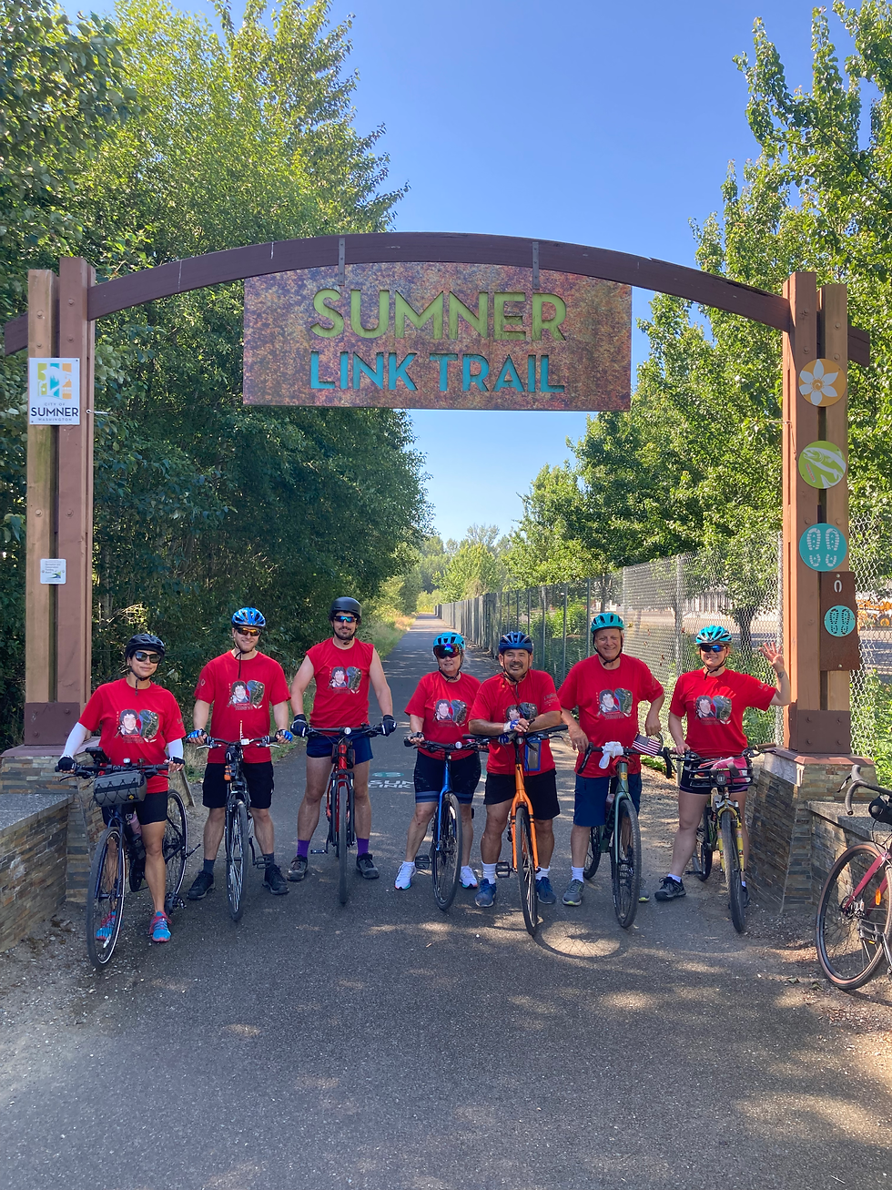 Sumner link