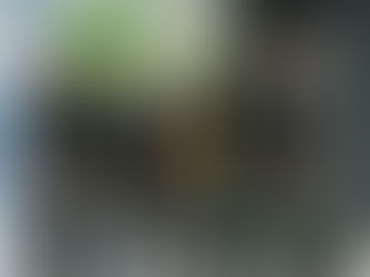 Creating space for thinking and balance as a DSII doctoral researcher 