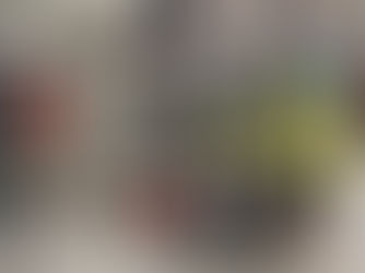 Experiences in DSII studies: “I’ve found my own way, and learned to be independent”