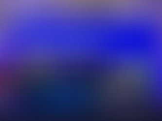 4 international awards and 4 Malaysia gold medals received this year. 荣获4个国际奖项和4个大马金牌