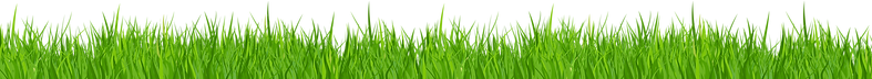 56-564682_grass-clipart-no-background-gr