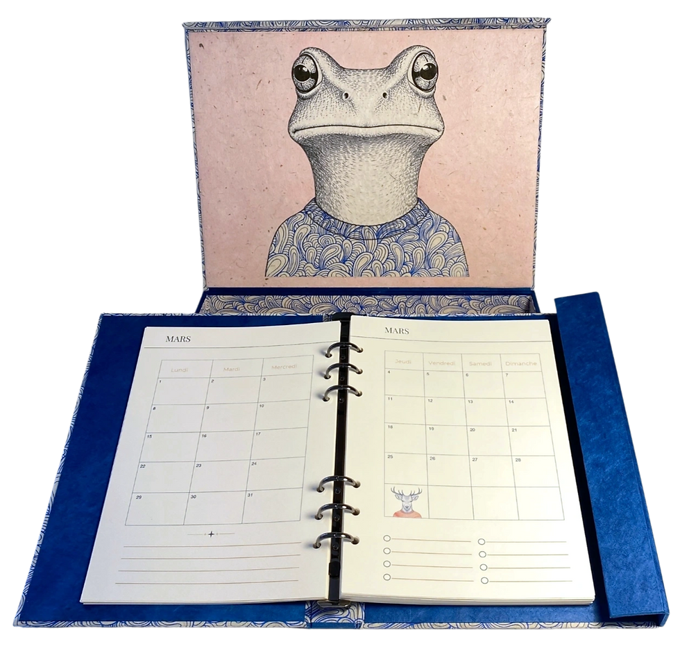 Coffret grenouille agenda ouvert