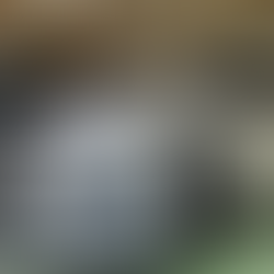 ステップワゴン　磨き　再コーティング