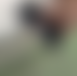 リアバンパー上　ドアエッジ　プロテクションフィルム