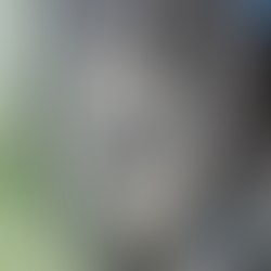 ヘッドライト　その他　プロテクションフィルム