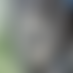 ヘッドライト　その他　プロテクションフィルム