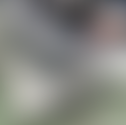 ヘッドライト プロテクションフィルム