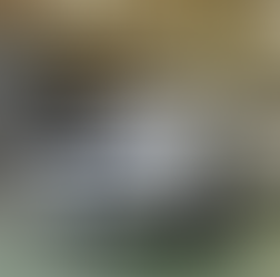 ランドクルーザー