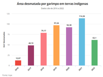 Caso Yanomami: consequências do garimpo ilegal, abandono federal e impactos sociais