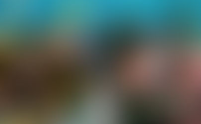 Mudanças climáticas e seus impactos na vida marinha: Recife de Corais