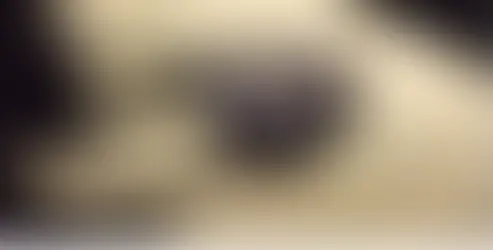 Segredos da Mata Atlântica: Descobertas Surpreendentes sobre as Árvores Centenárias.