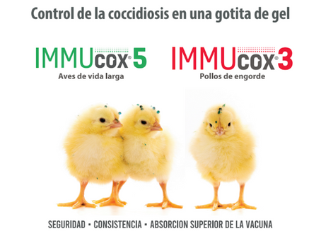 PRÁCTICAS PREVENTIVAS PARA LA COCCIDIOSIS